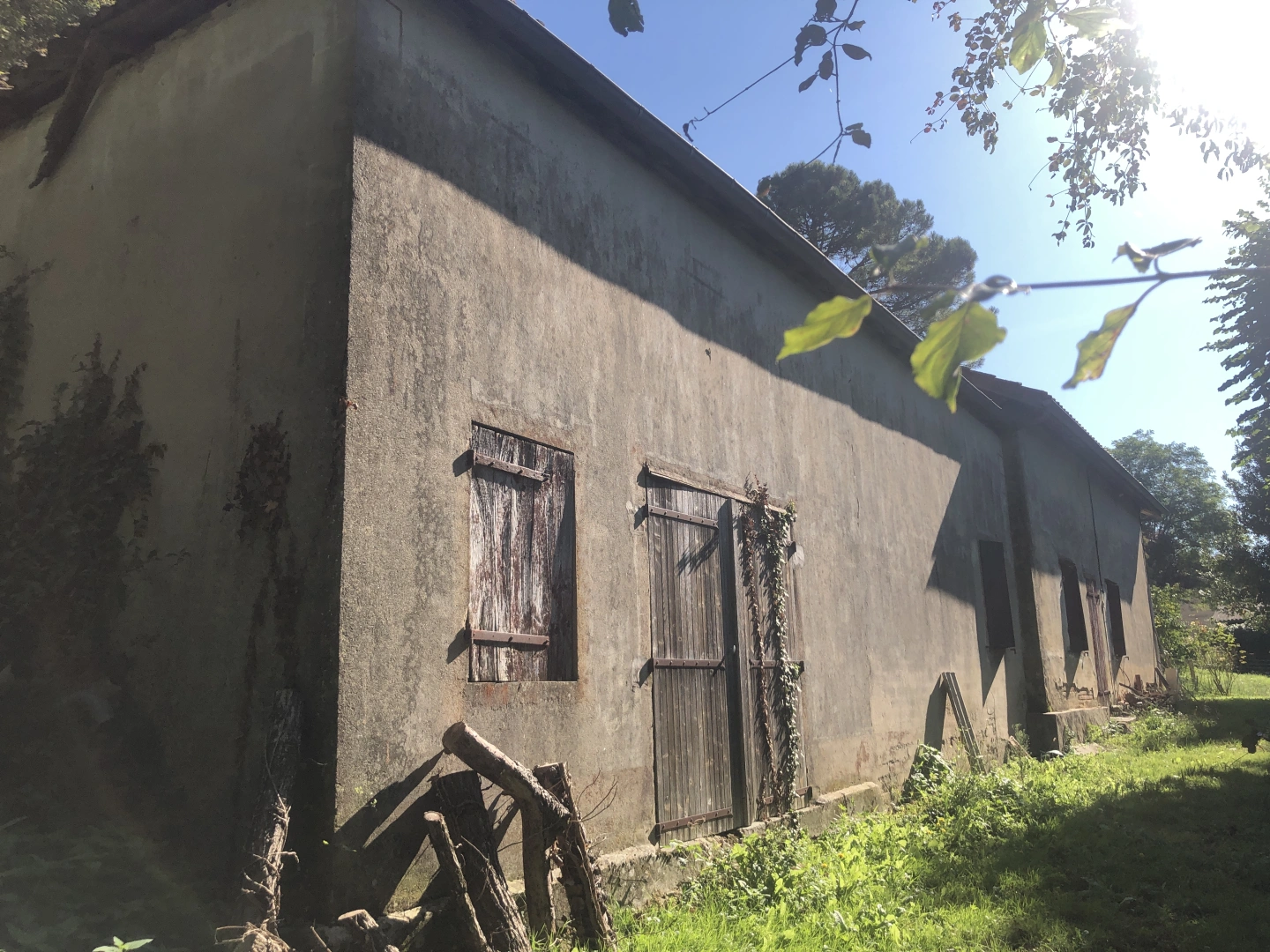 property